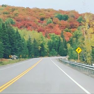 Meet your Posher, Shay